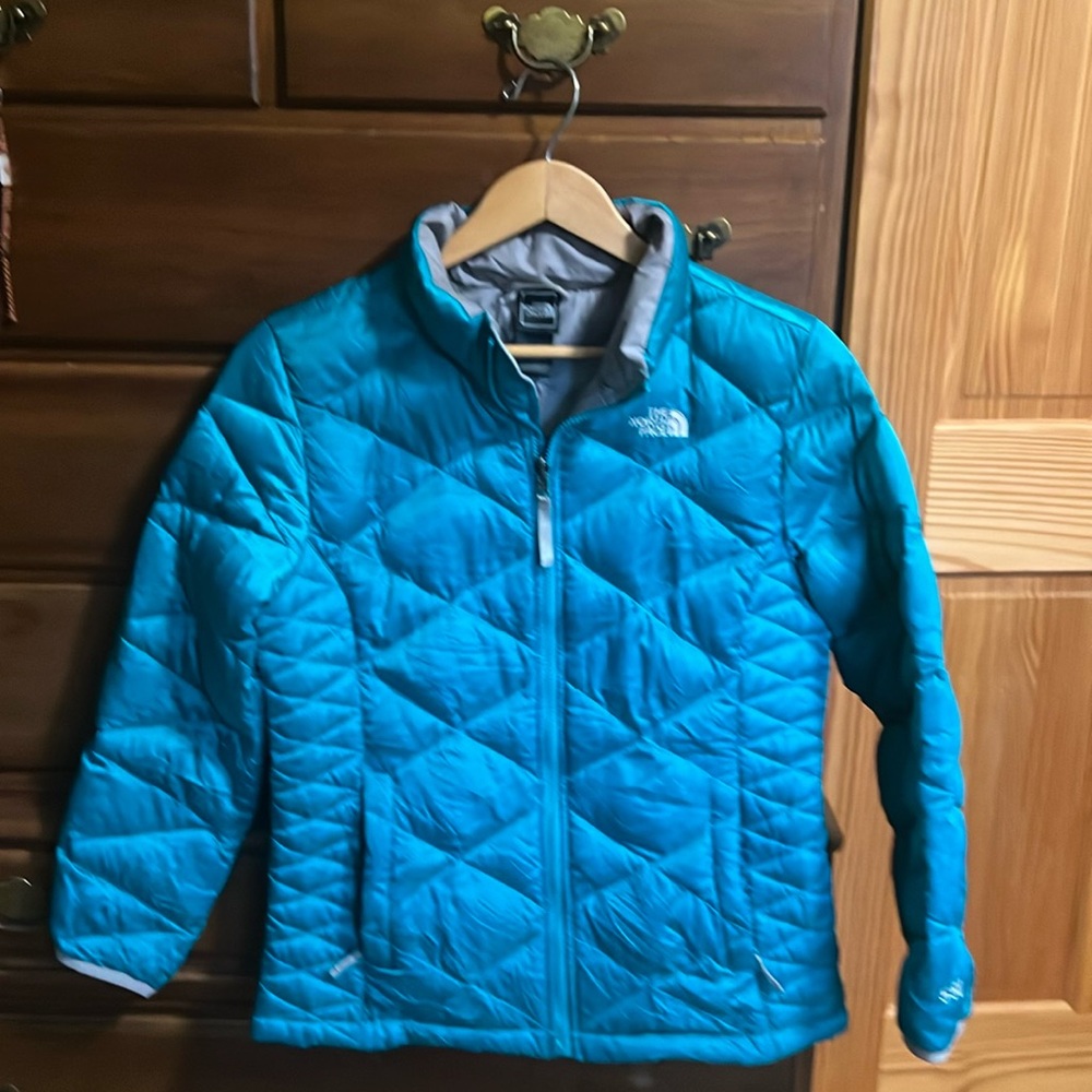 The North Face Puffer Jacket 550 Goose Down-Filled; Emerald Green